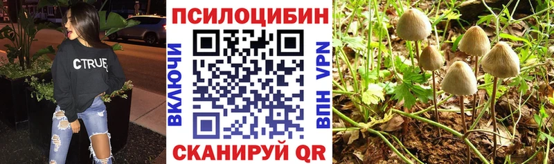 Галлюциногенные грибы ЛСД Воскресенск